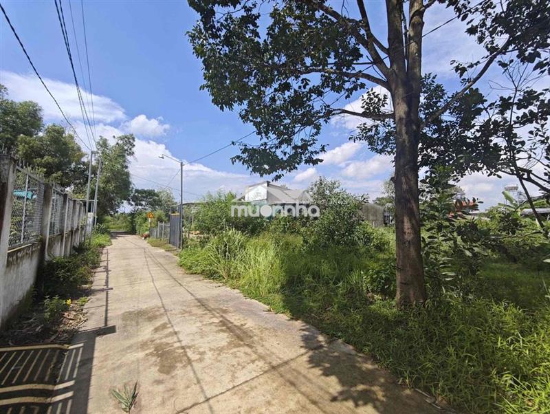 Bán gấp gần 1000 m2 đất tại xã phú điền, h. tân phú, đồng nai