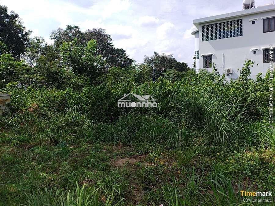 Bán đất biệt thự kđt bình nguyên -300m2-15,5 tỷ. - 4