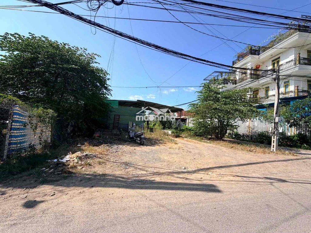 Bán đất - 3