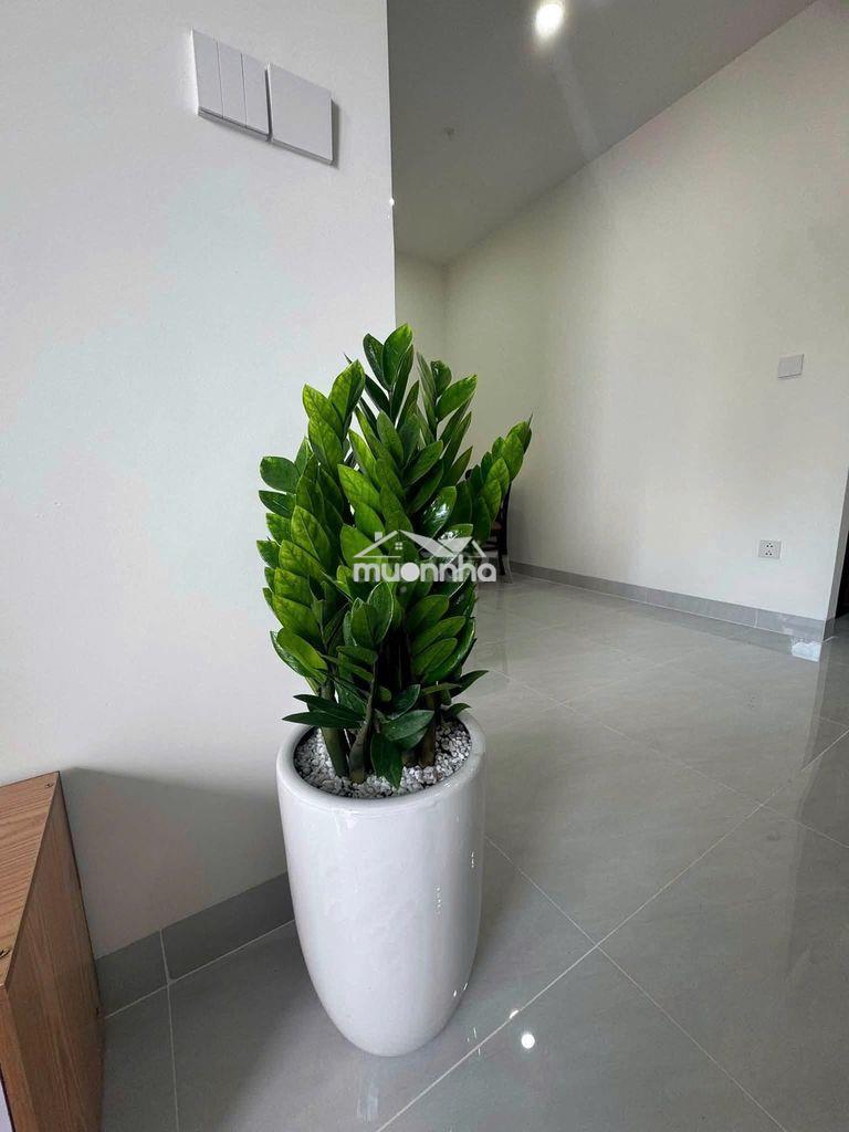Cho thuê 1pn full nt giá 6,8tr/tháng - ở ngay