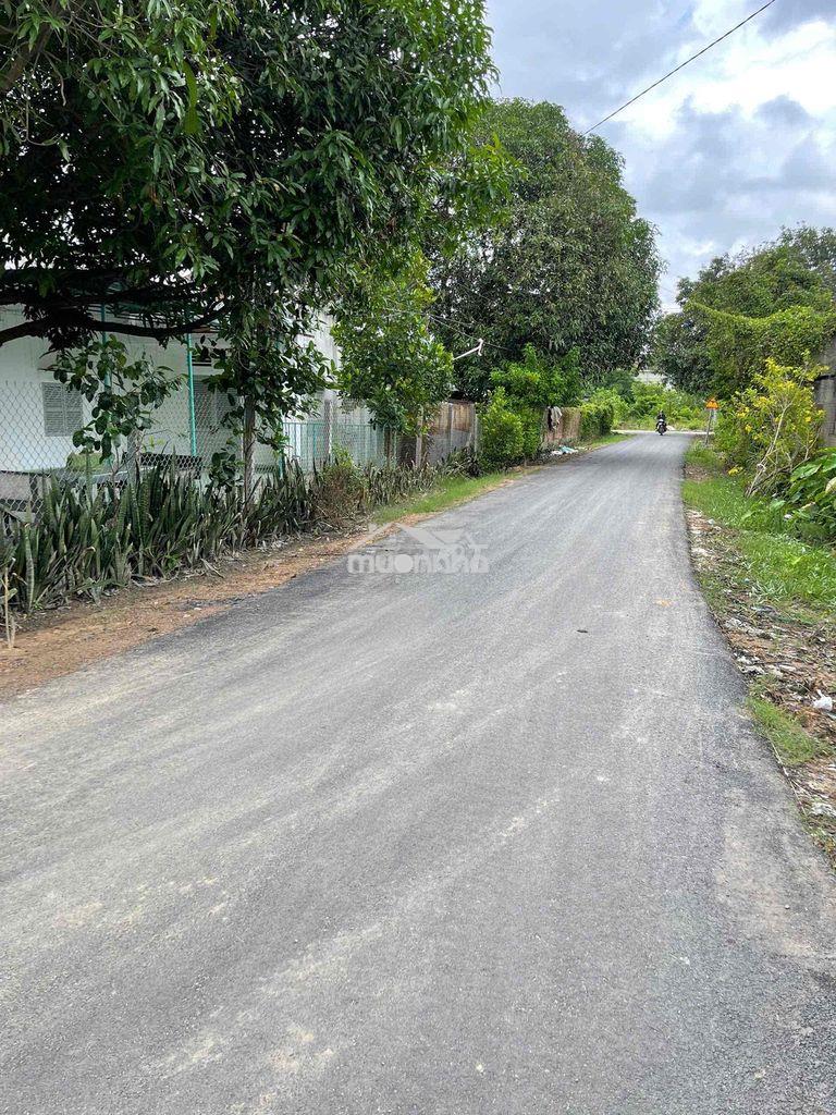 Bán miếng đất khu phố long yên, p. hoà thành, tây ninh - 2