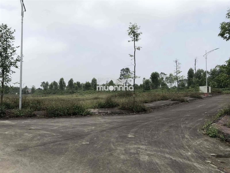 Chính chủ bán gấp