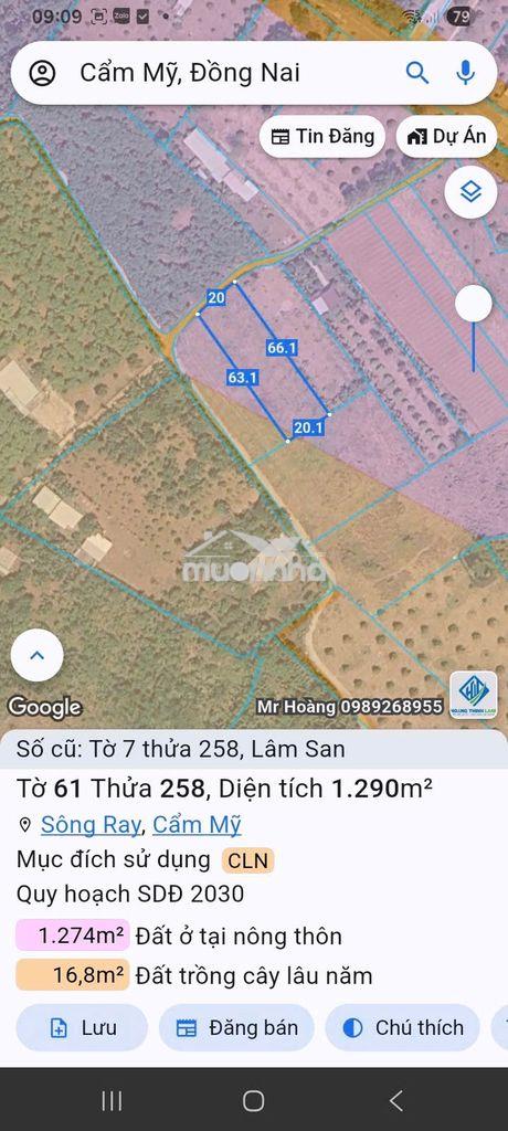 Bán đất mặt tiền oto - Ảnh 3