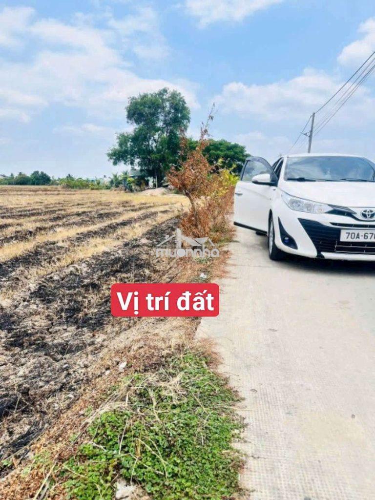 5×40 thổ đường lớn sát chợ go đen mỹ yên bến lức 1 tỷ 250 triệu rẻ