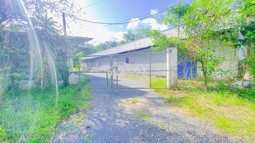 Cho thuê kho 1.100 m2 có sân mặt tiền ql 61c giá 15 triệu - 2