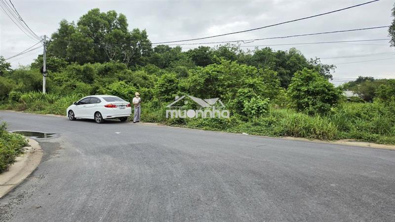 Đất thổ cư dt 30x80 mặt tiền hồ thị bưng, gần ngã 4 tân quy - củ chi