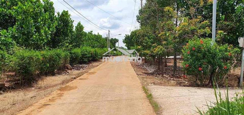 Bán rẻ lô đất bình lộc