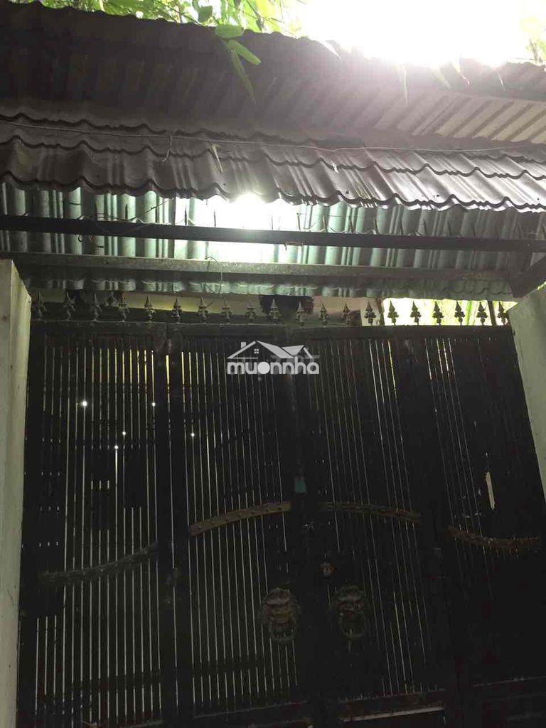 Chính chut cần bán gấp