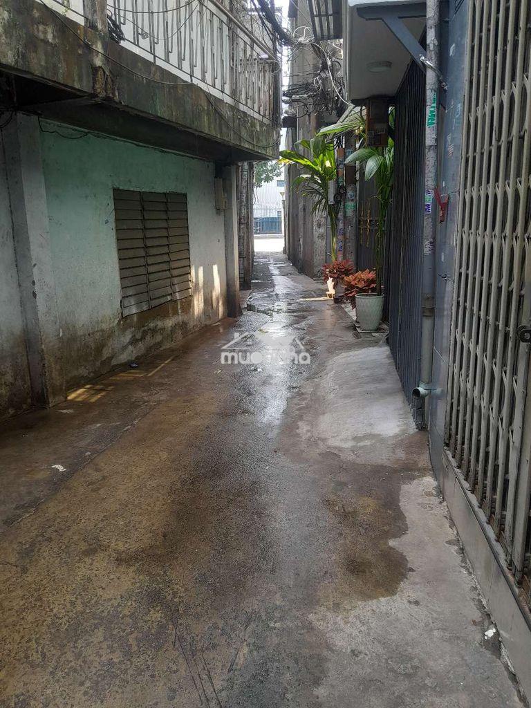 Cho thuê nhà hòa bình quận 11 sát bên đầm sen 35m2 ngang 3,5m dài 10m - Ảnh 3