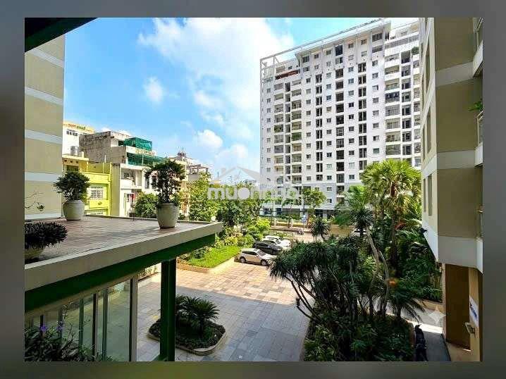 Căn hộ botanic view hồ bơi 166m² 4 phòng ngủ gấp bán chỉ 71 triệu/1m² - Ảnh 3