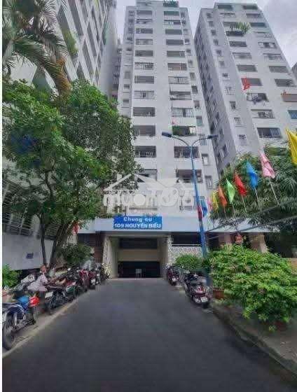 ✨ **Bán căn góc chung cư nguyễn biểu q.5 | 50 m² | 3,1