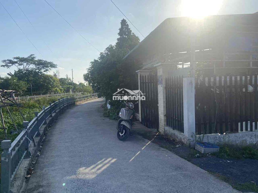 Cho thuê nhà cấp 4 giá rẻ thạnh xuân 14 - Ảnh 2