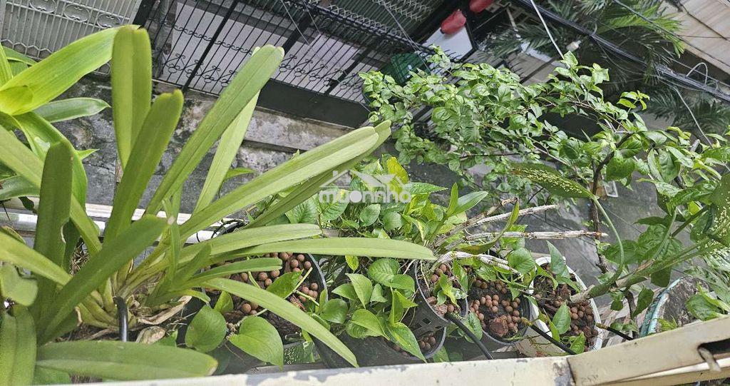 Phòng sạch đẹp đủ tiện nghi, trung tâm tp  - Ảnh 3