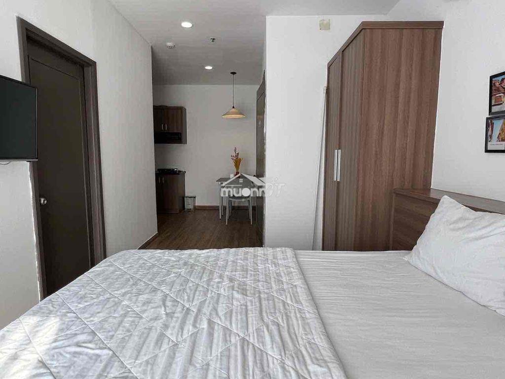 Căn hộ 1pn trần nhật duật - Ảnh 3